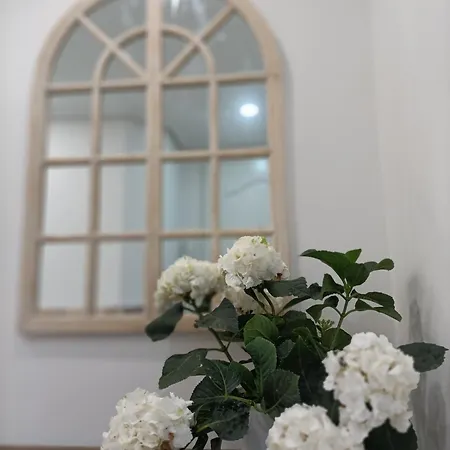 Piso Deluxe En El Centro Apartamento *