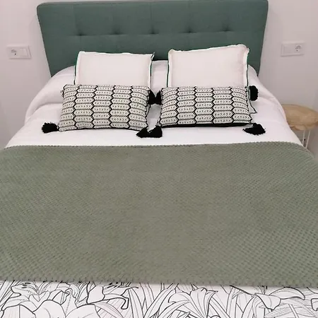 Piso Deluxe En El Centro Con Ascensor Castro Urdiales